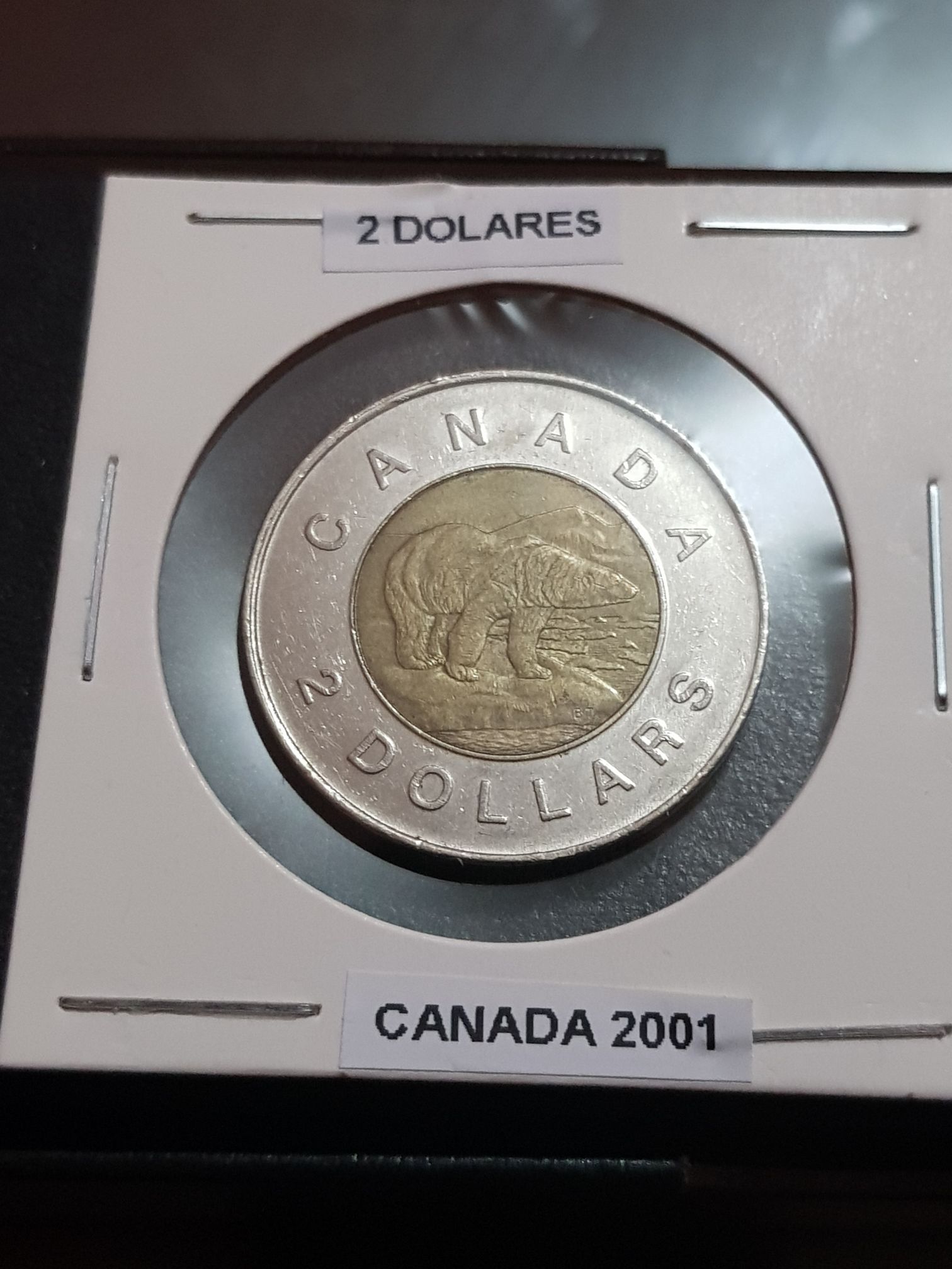 Book - Canadian Nickel 5 Cent Coin