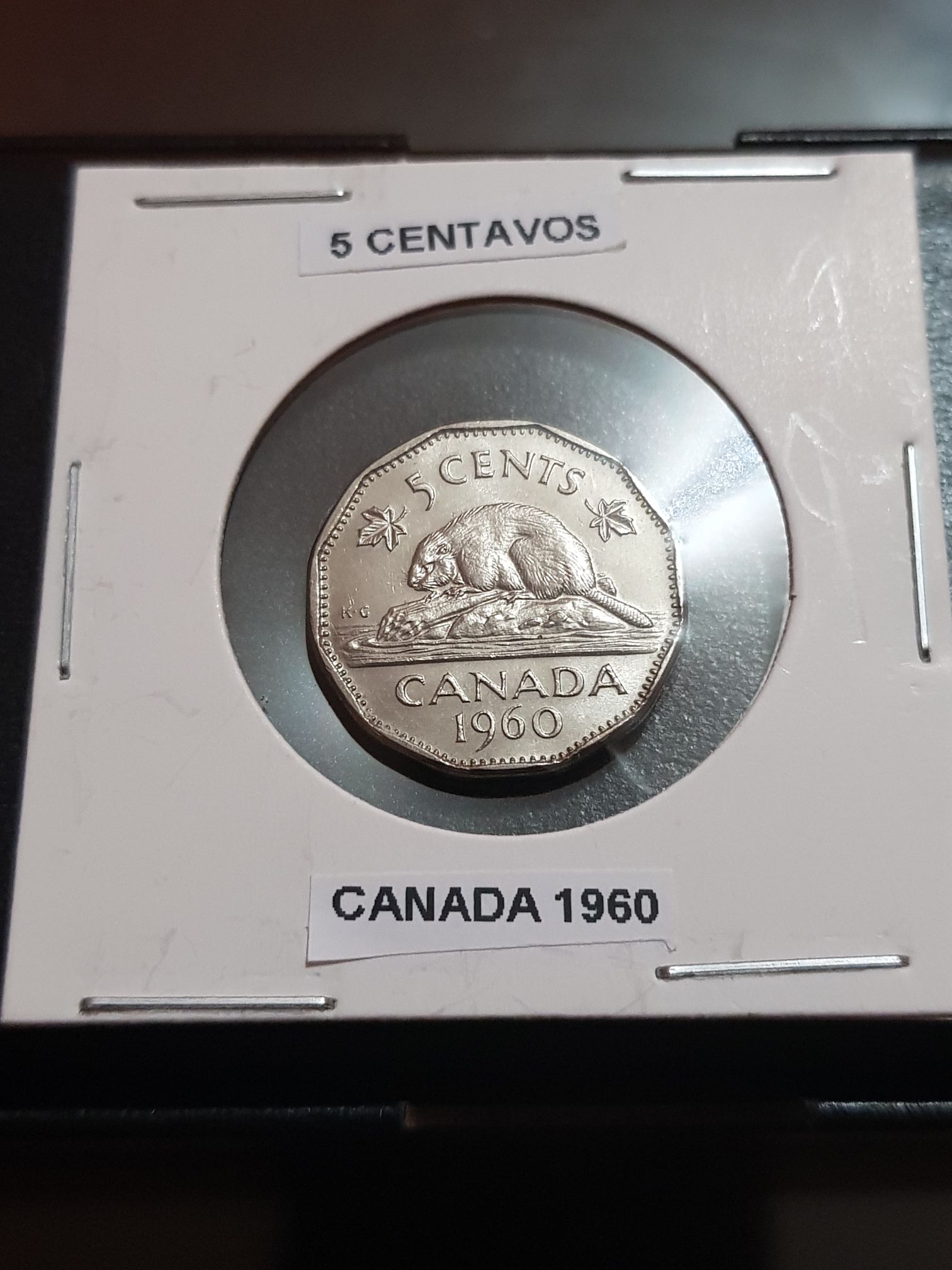 Roll Of Canadian 10 Cent Coins 1938