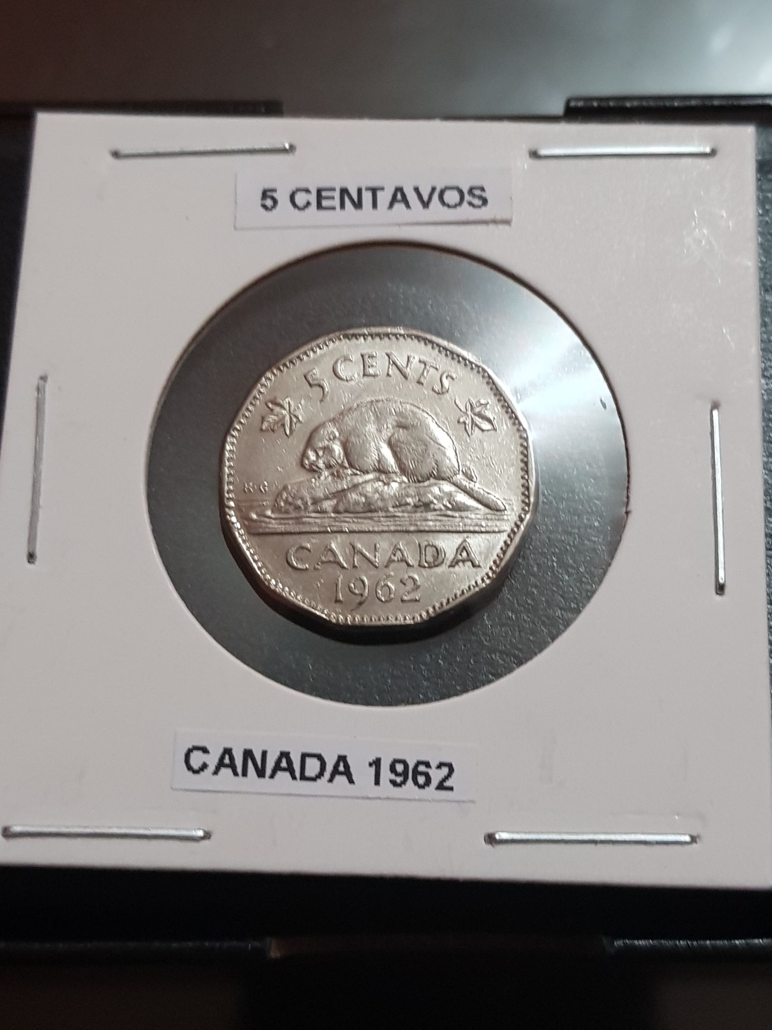 .01 Centavo De Dólar