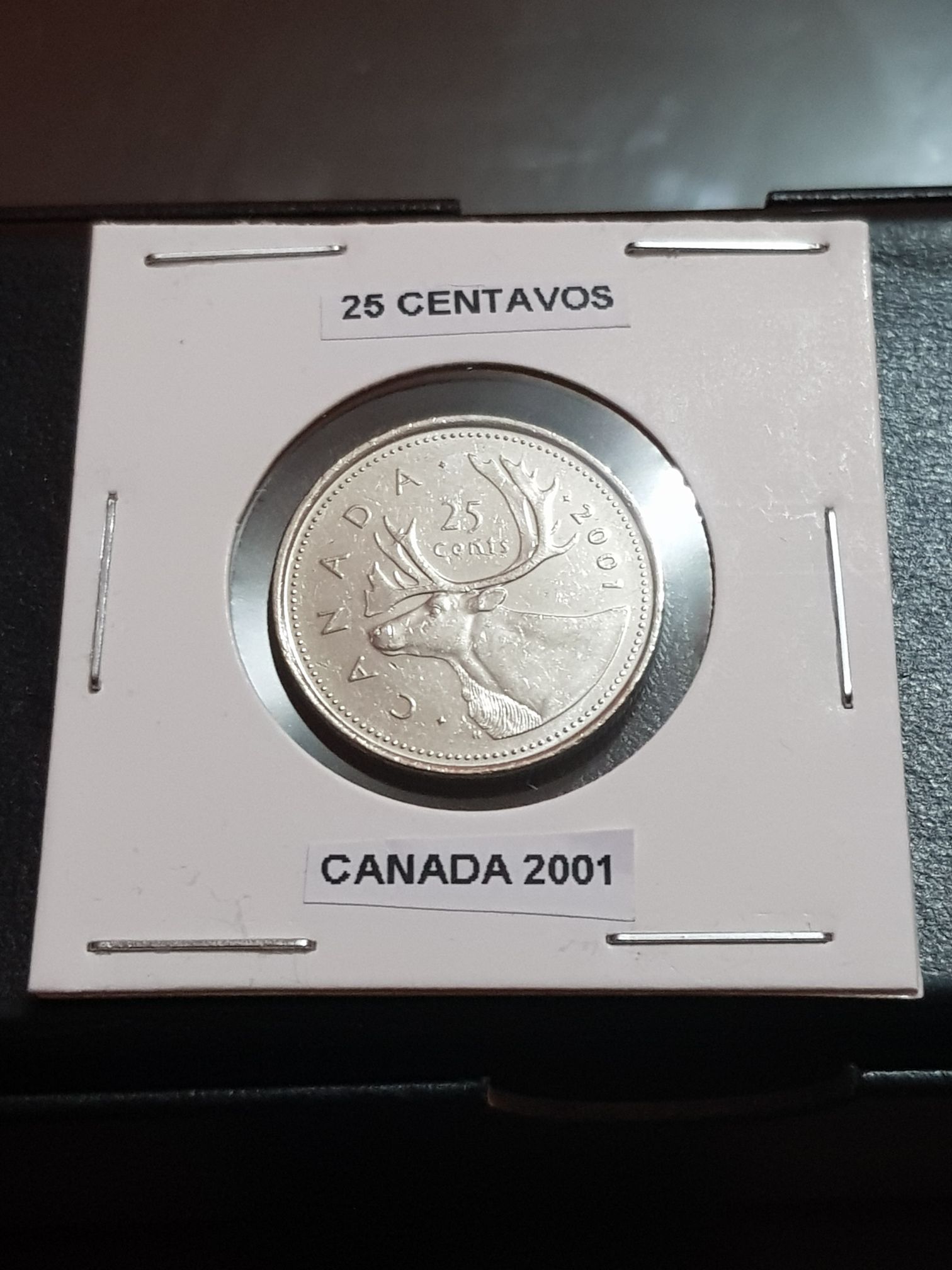 2004 Lucky Loonie Sterling Silver Coin