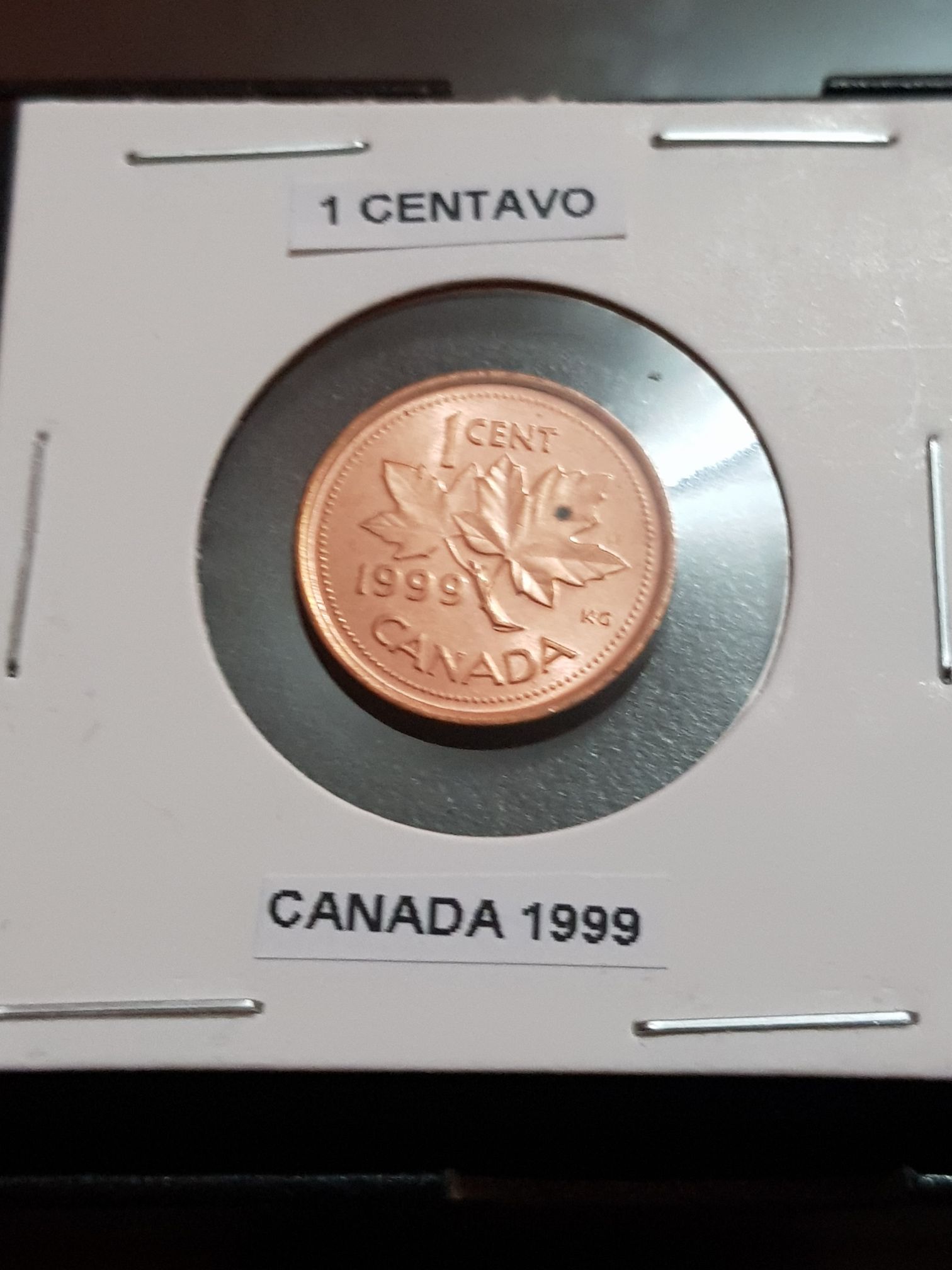 5 Dollars - 25th Anniversary Of Silver Maple Leaf