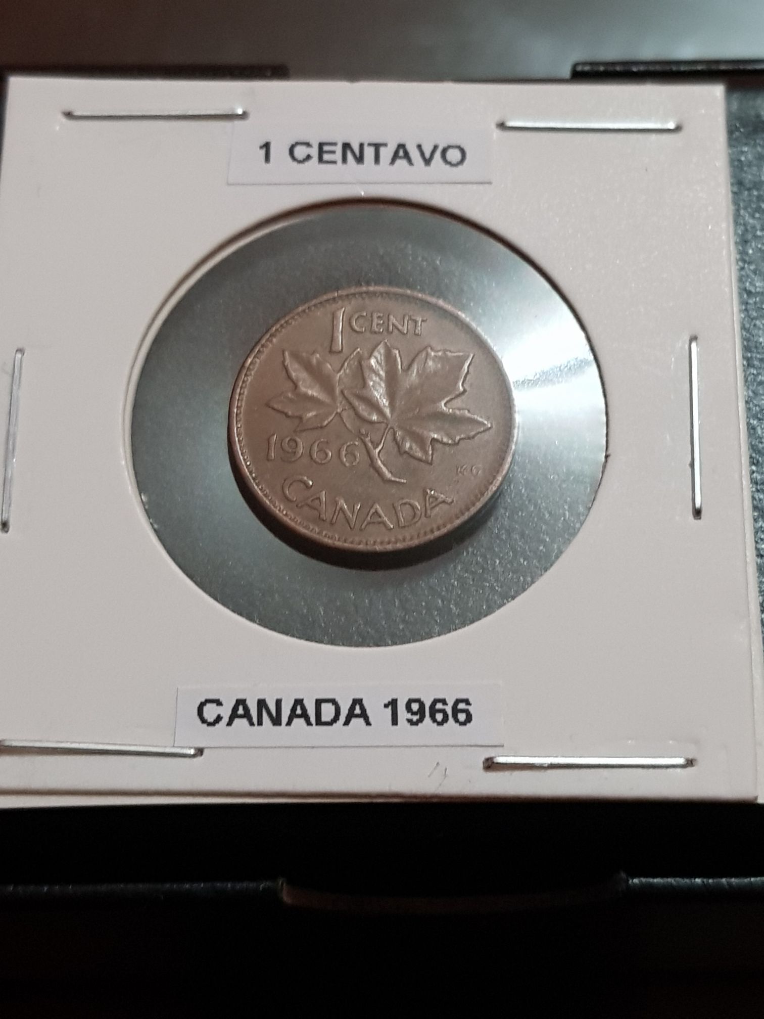 Canadian 50 Dollar Bank Notes