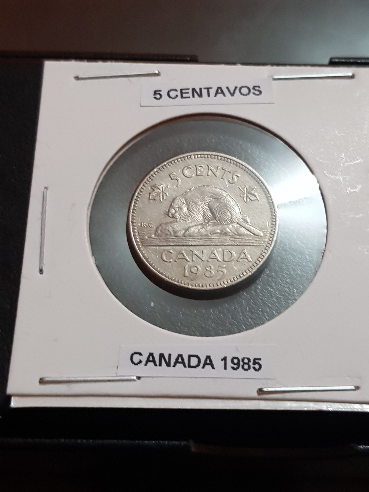 2017 ATB Ellis Island