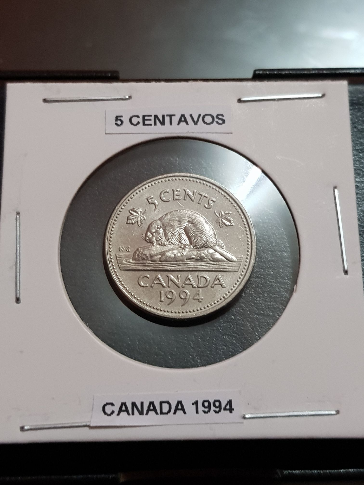 Persian Gulf Victory