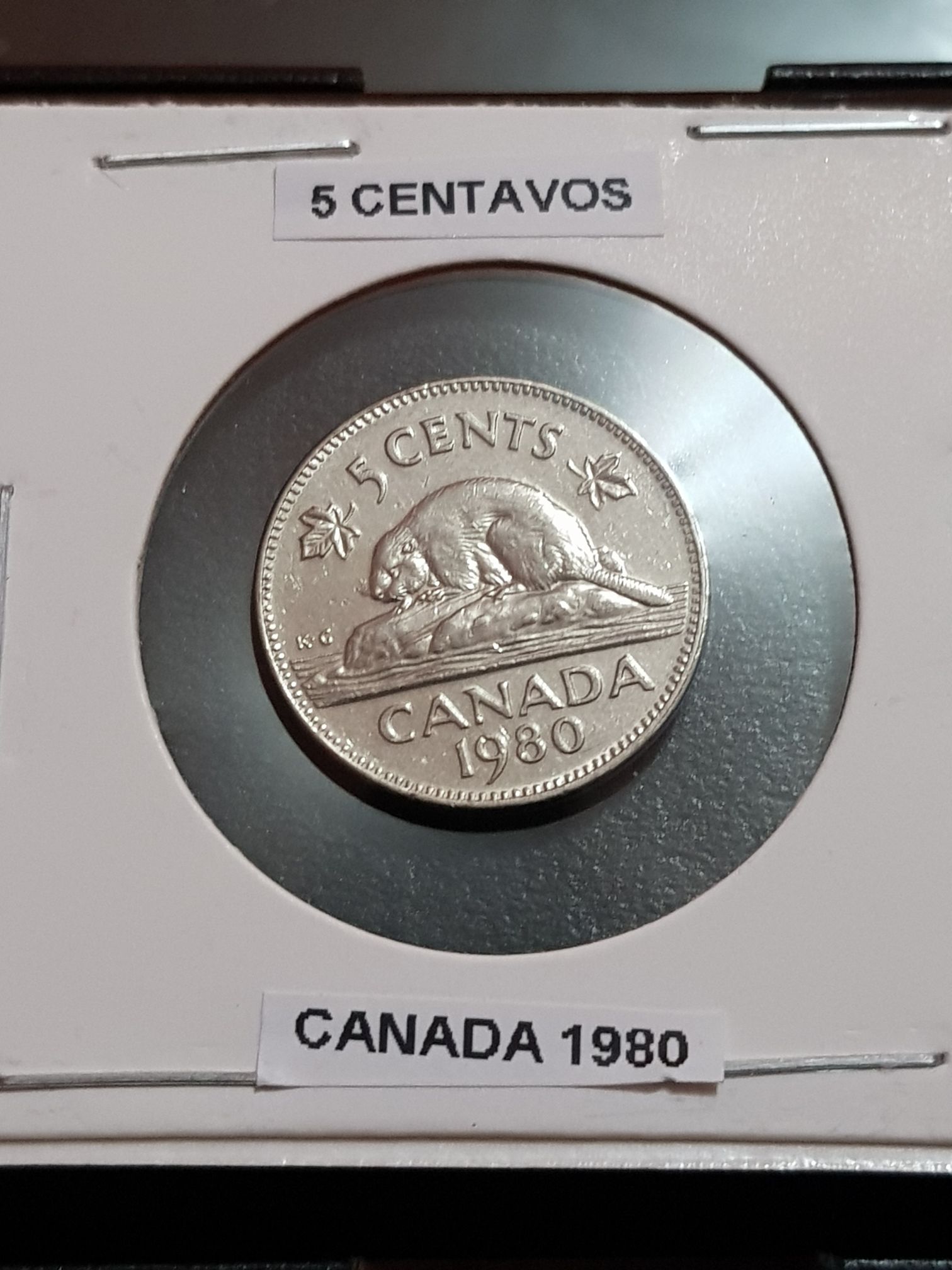 C2 Book - Canadian Silver 1 Dollar Coin
