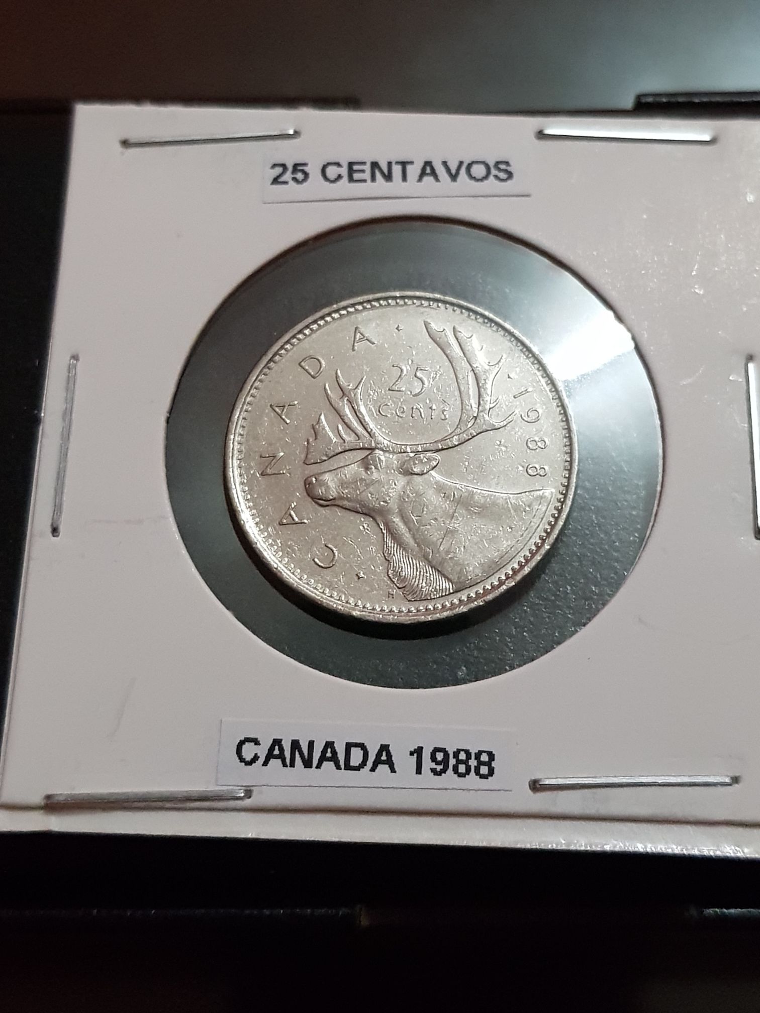 Roll Of Canadian 25 Cent Coins