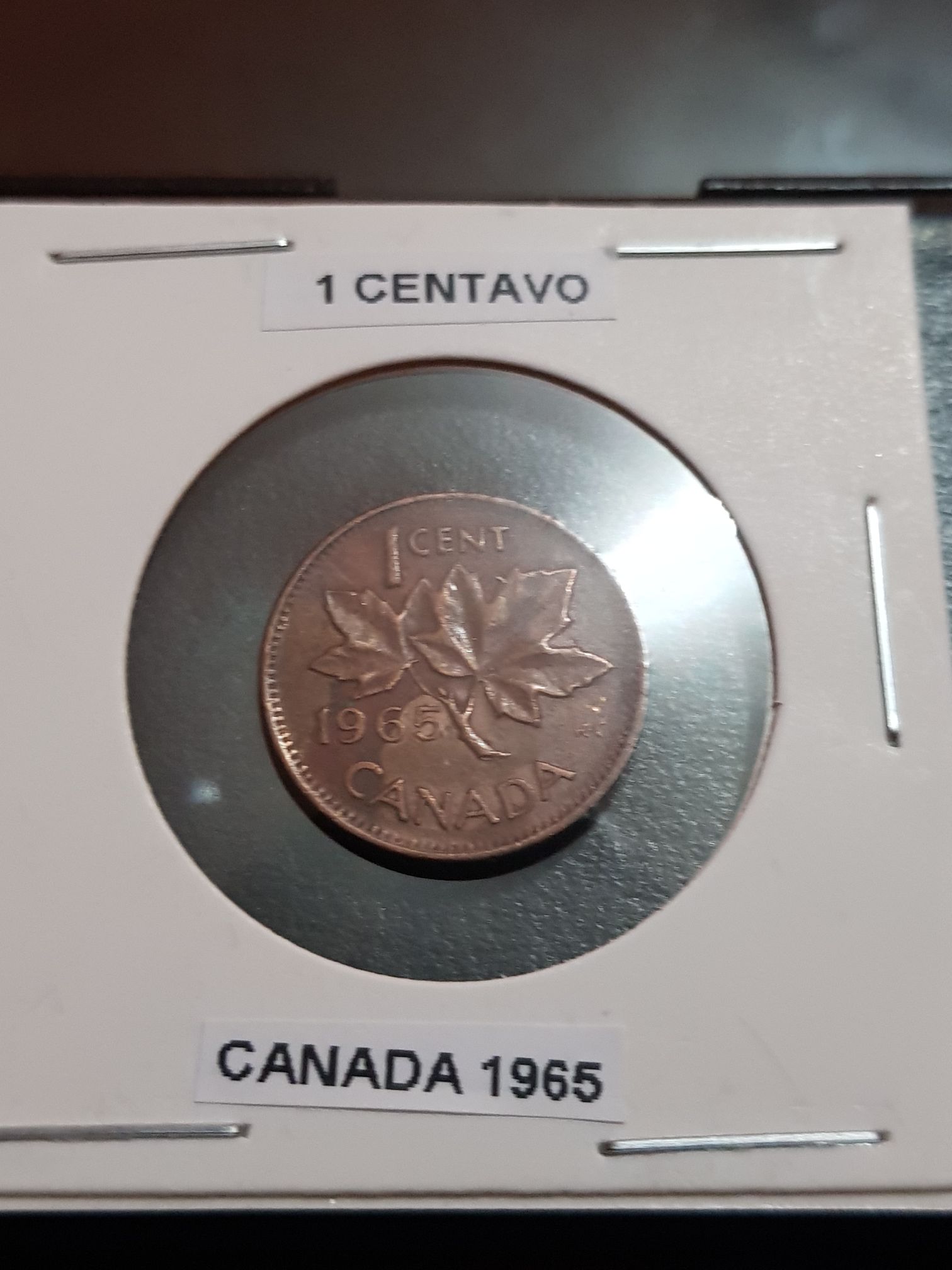 Legends Of The Anzacs