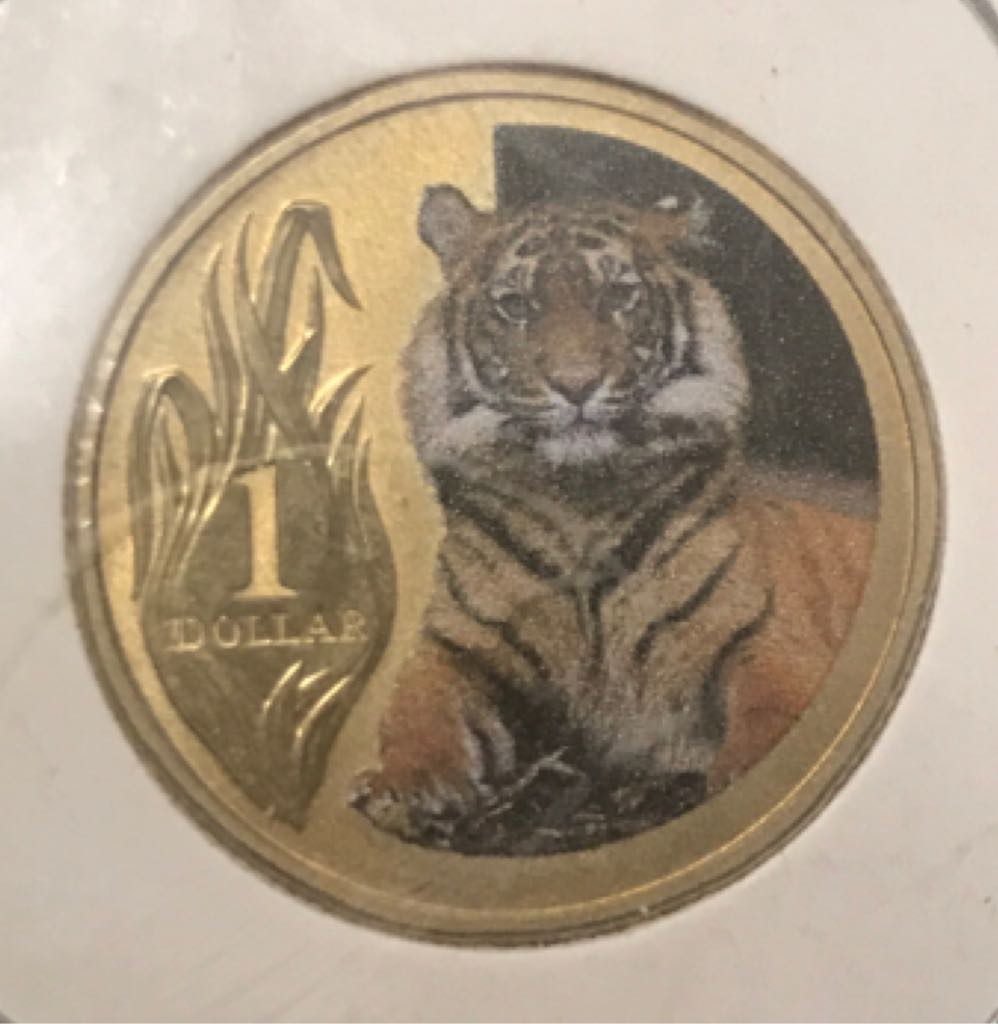 Roll Of Canadian 5 Cent Coins