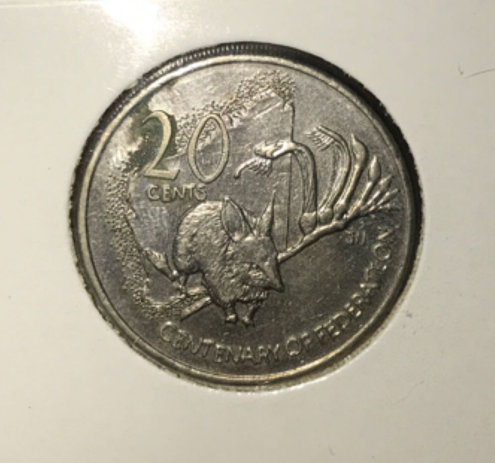 $100.00 Fine Silver Coin