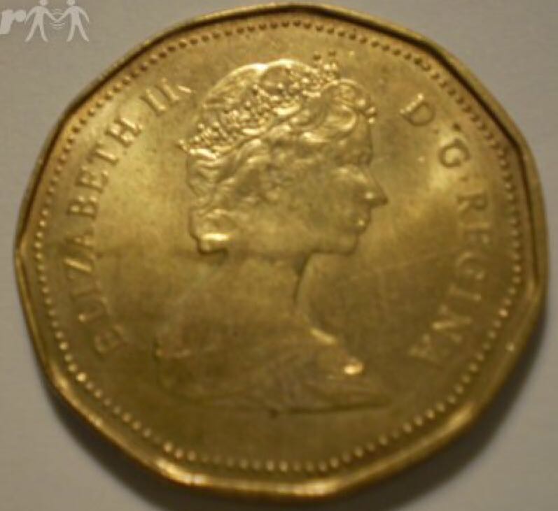 Book - Canadian Nickel Loonie Dollar  coin collectible - Main Image 2