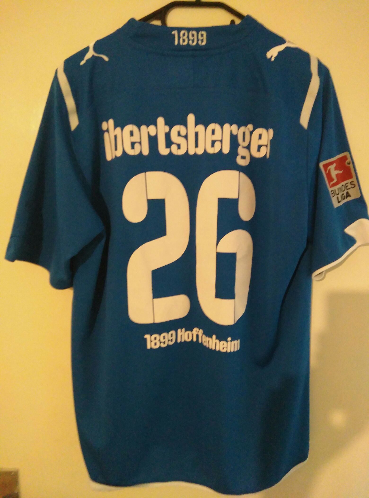 Hoffenheim TSG 2010 1st  coin collectible - Main Image 2