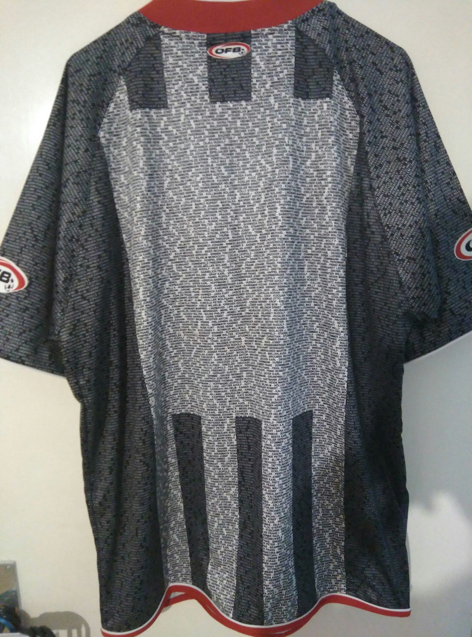 Österreich 2004 Jubiläumstrikot 100 Jahre  coin collectible - Main Image 2