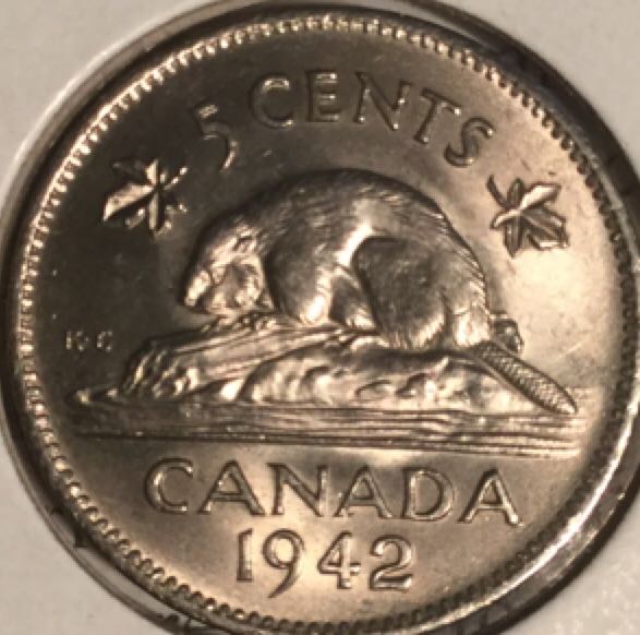 Mothers Love Giraffe