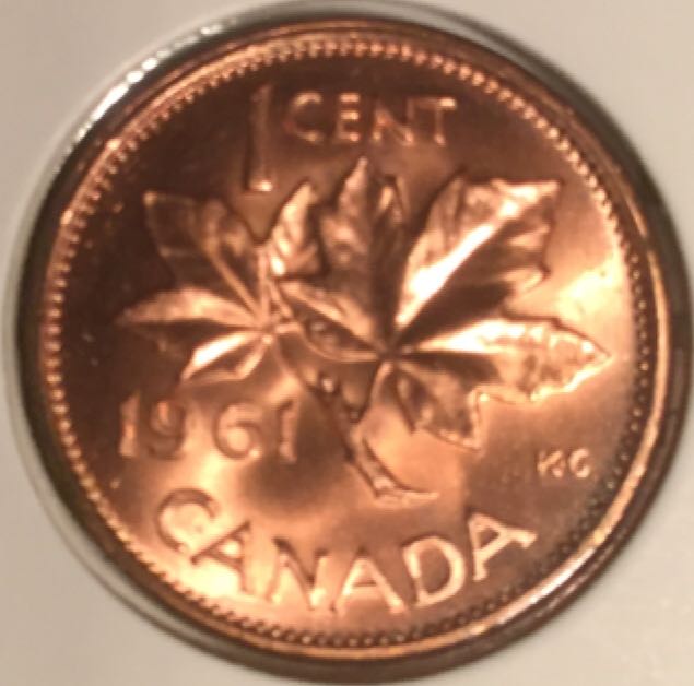 Roll Of Canadian 50 Cent Coins