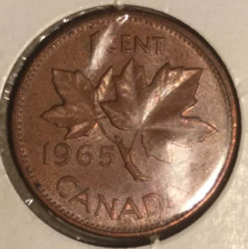 C1 Book - Canada’s Ocean Giants