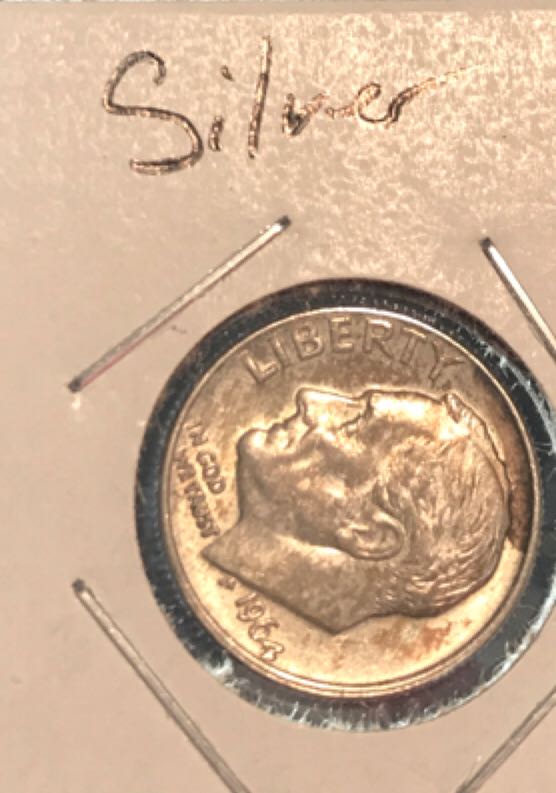 Tolken - Glacier National Park