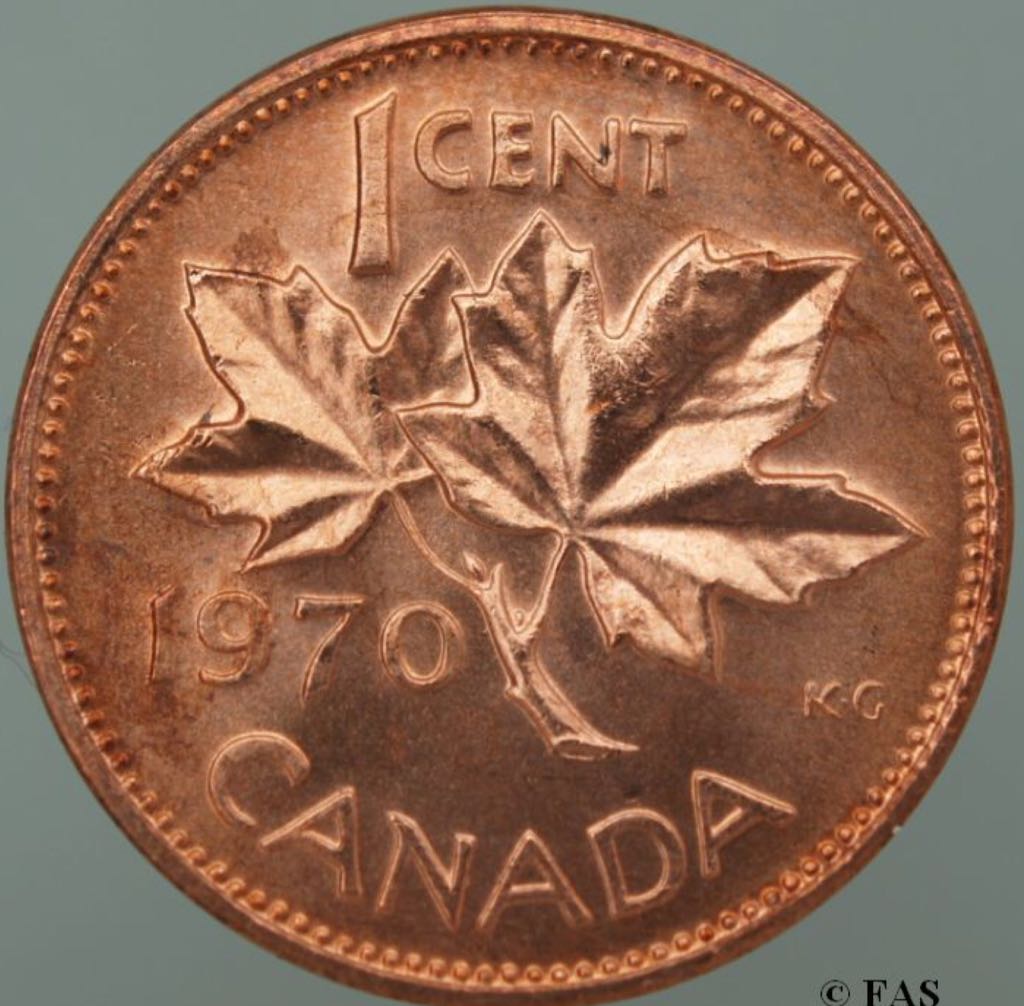Book - Canadian Nickel 50 Cent Coin