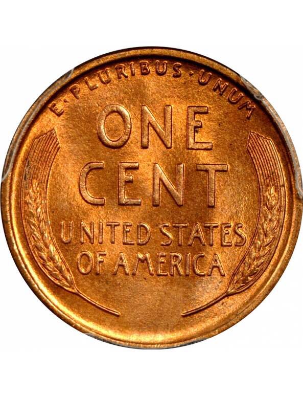 1913 D Lincoln Wheat Cent coin collectible - Main Image 2