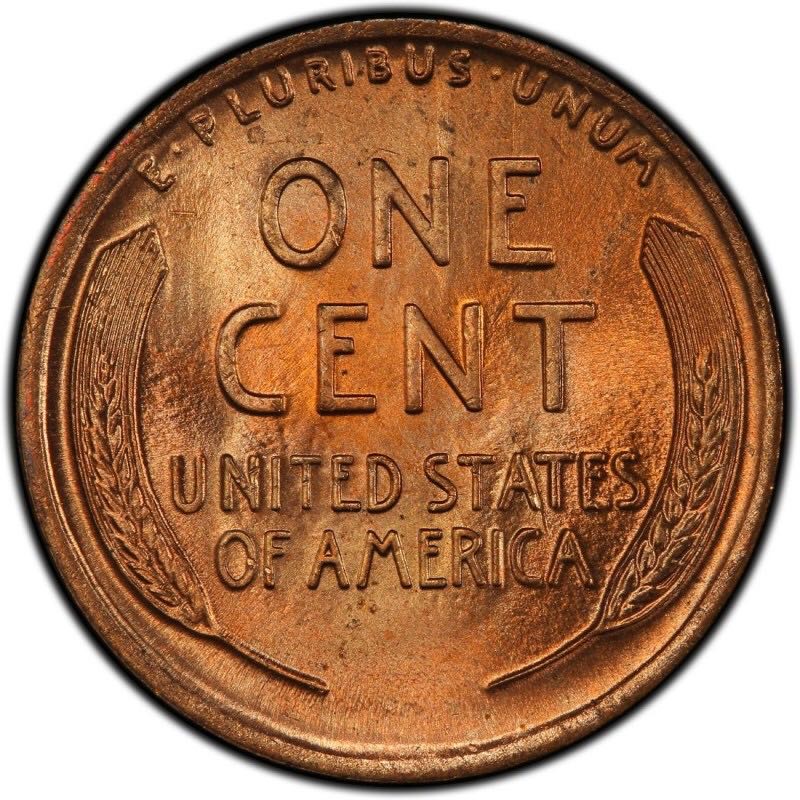 1913 S Lincoln Wheat Cent  coin collectible - Main Image 2