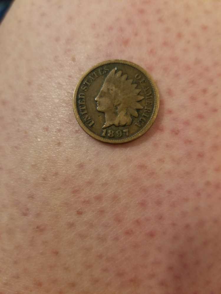 1897 Indian Head Penny  coin collectible - Main Image 3