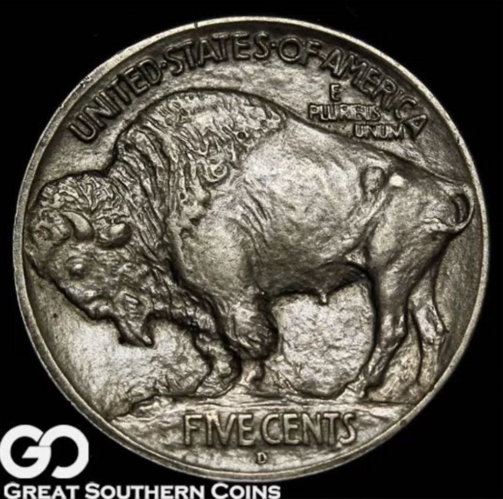 1913-D Buffalo Nickle, Type 1  coin collectible - Main Image 2