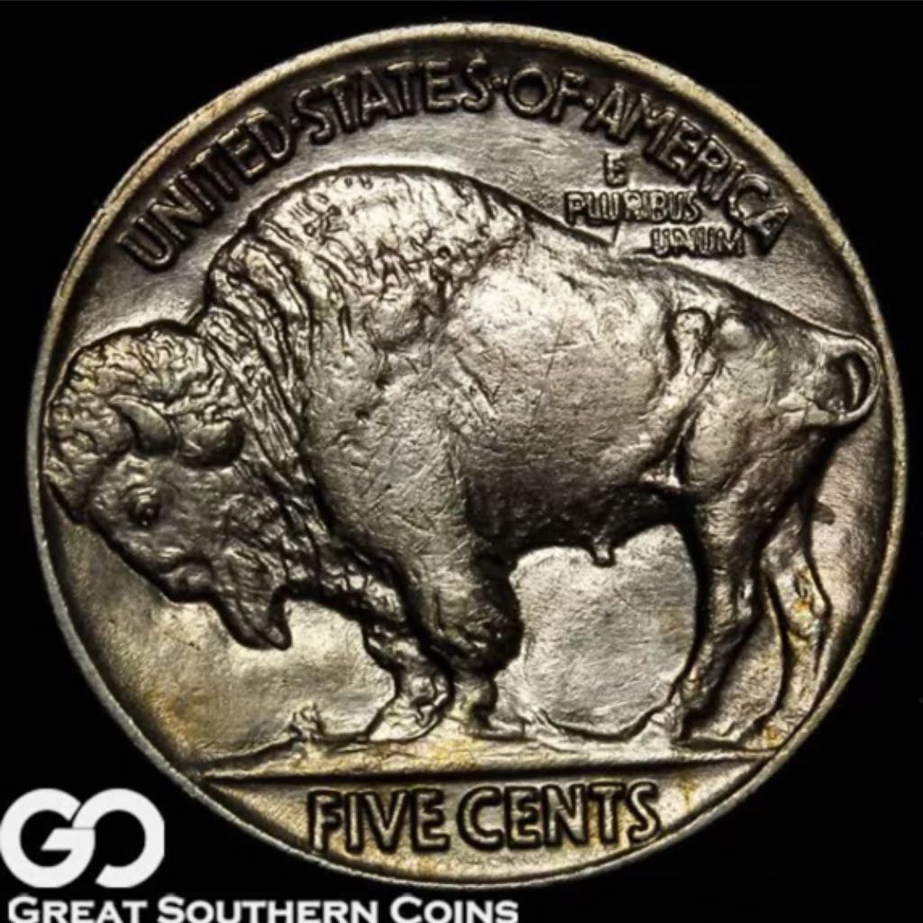 1913 -S Buffalo Nicklel, Type 1  coin collectible - Main Image 2