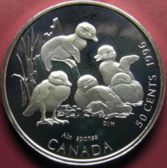 Roll Of Canadian 50 Cent Coins