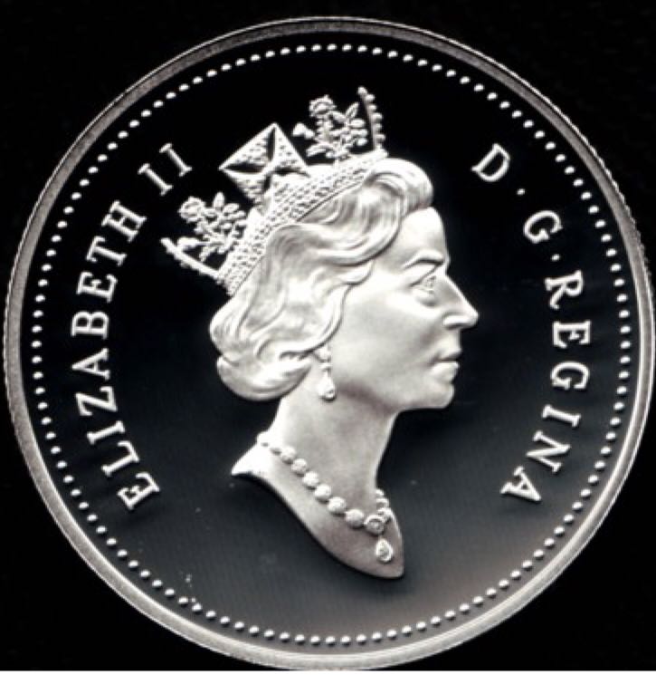 Nature’s Playground - Black Bear Cubs  coin collectible - Main Image 2