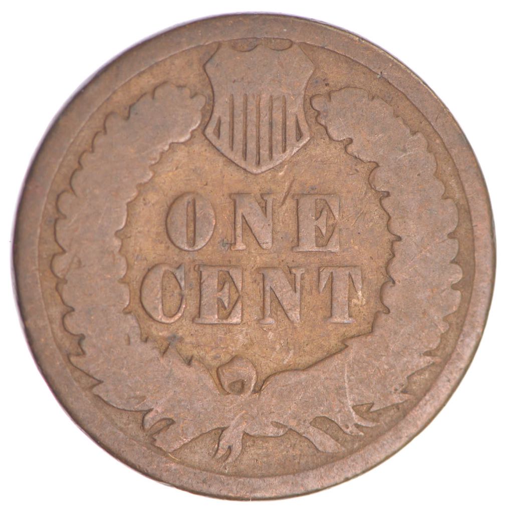 1879 Indian Head Cent  coin collectible - Main Image 2