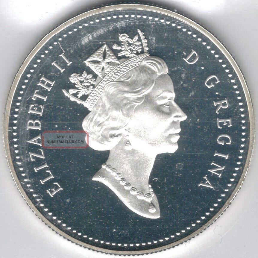 Canadian Silver Dollar 1991 coin collectible - Main Image 2