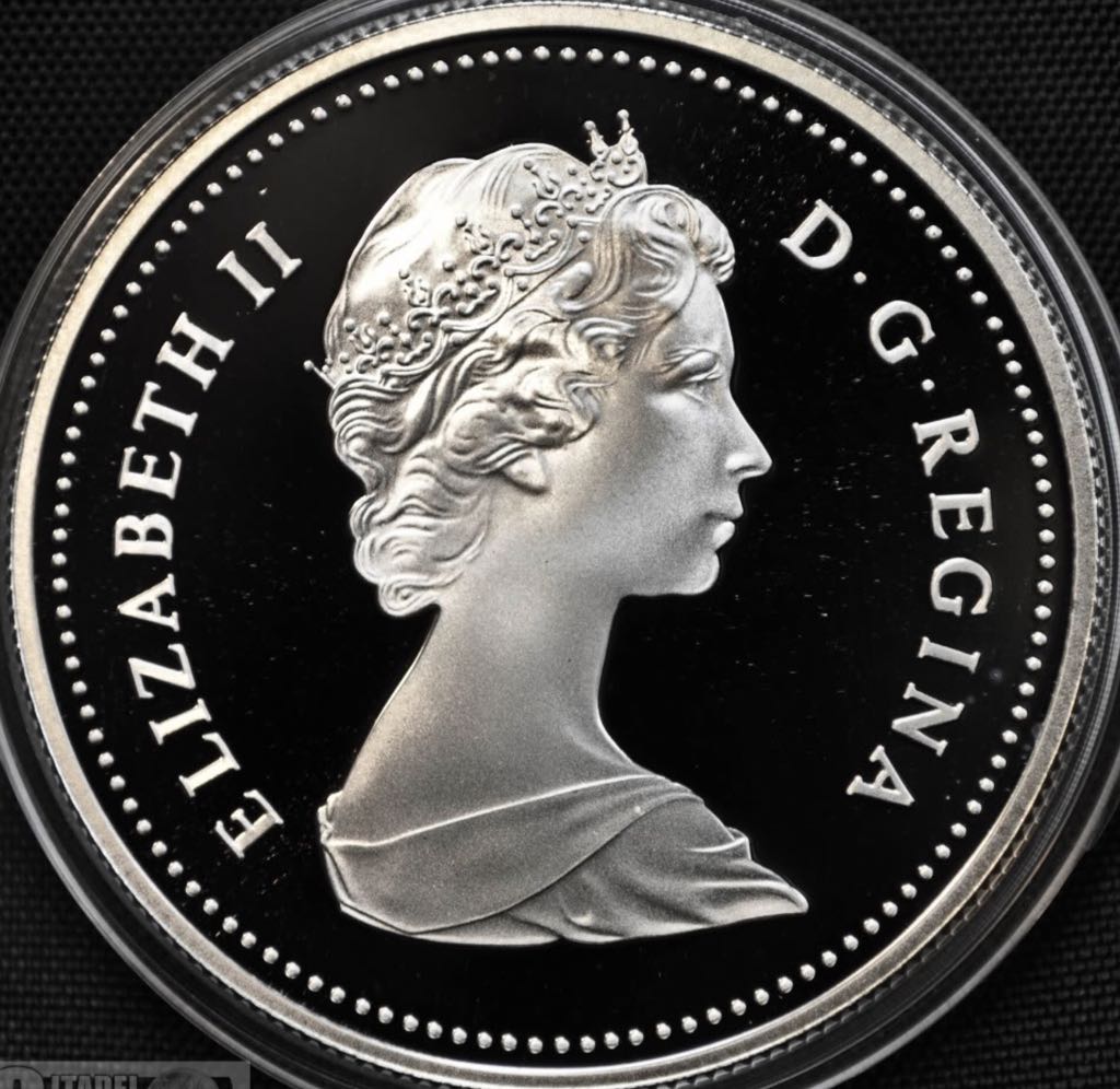 C2 Book - Canadian Silver 1 Dollar Coin - Proof  coin collectible - Main Image 2