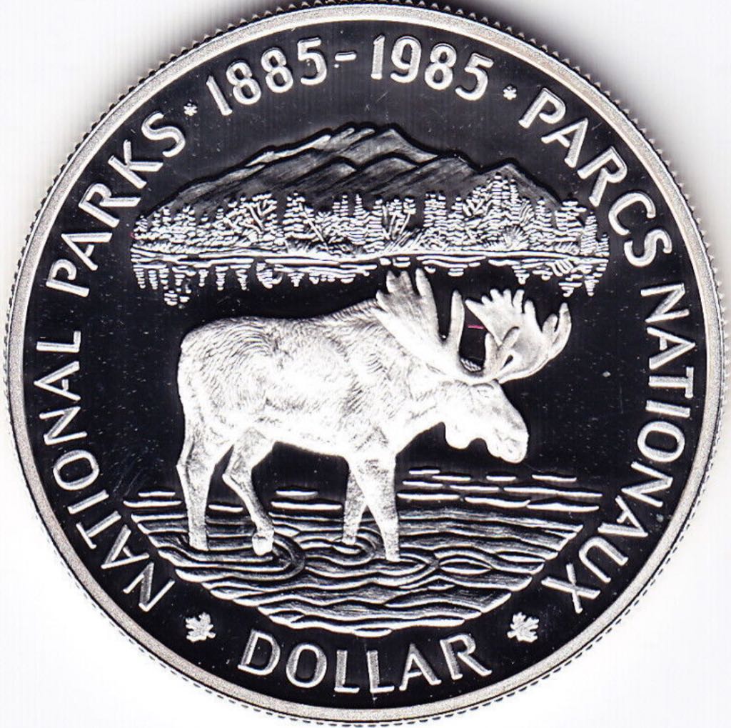 African Wildlife Elephant