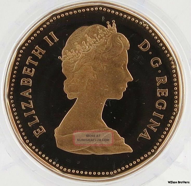 C2 Book - Canadian Nickel 1 Dollar Coin (Loonie)  coin collectible - Main Image 2