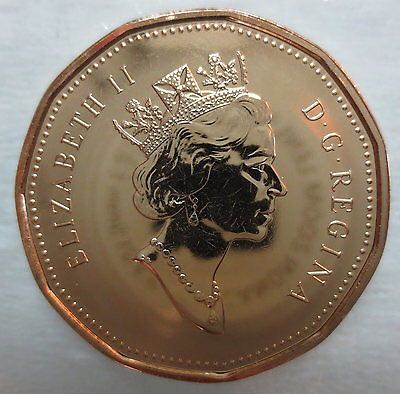 C1 Book - Canadian Nickel 1 Dollar Coin - Unc.  coin collectible - Main Image 2