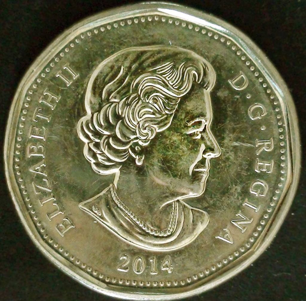 C1 Book - Canadian Steel 1 Dollar Coin - Unc.  coin collectible - Main Image 2