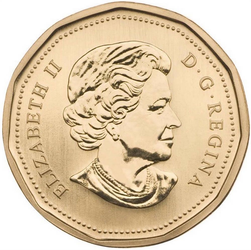 C1 Book - Canadian Steel Dollar Coin   coin collectible - Main Image 2