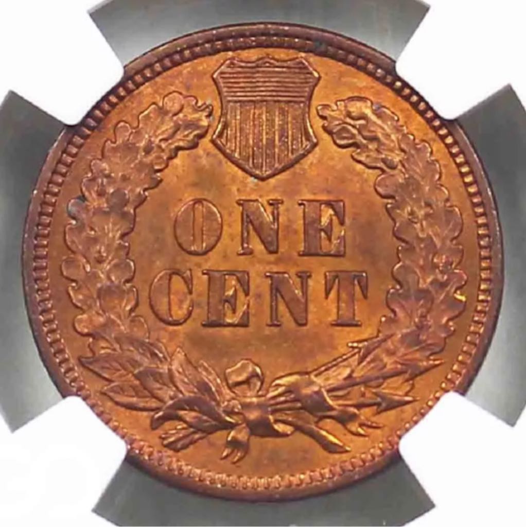 Indian Head Cent 1900  coin collectible - Main Image 2