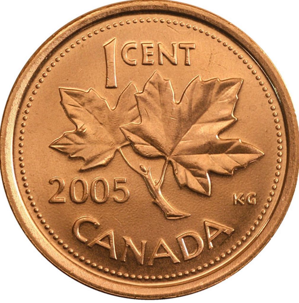 African Wildlife Elephant