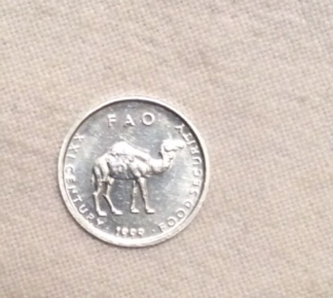 1904 Morgan Silver Dollar