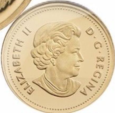C1 Book - Canadian Gold 25 Cent Coin  coin collectible - Main Image 2