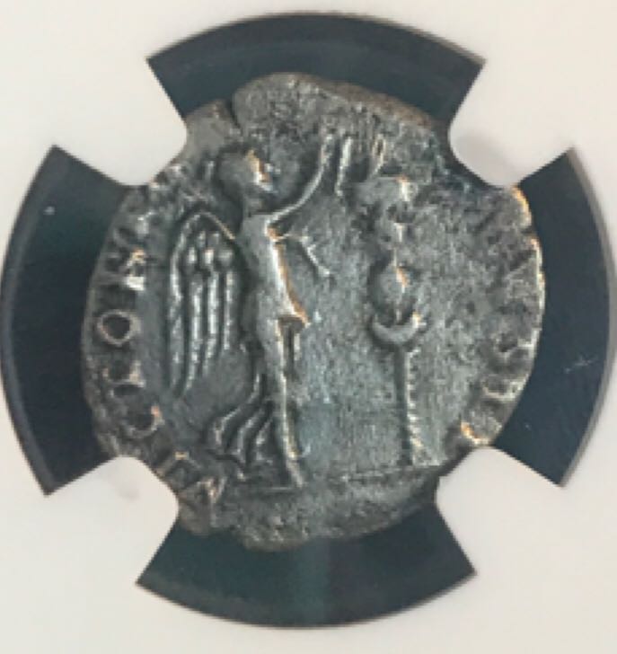 Vespasian Denarius (NGC)  coin collectible - Main Image 2