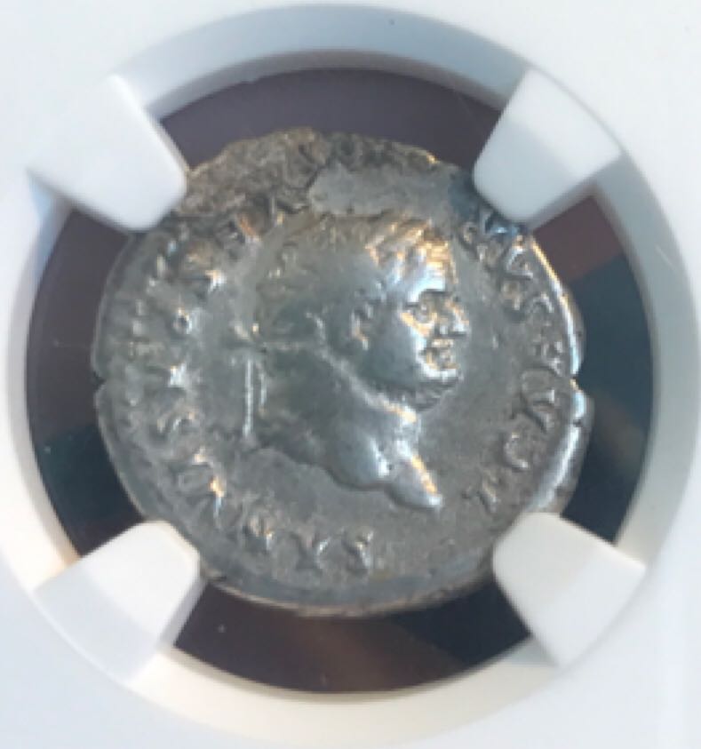 African Wildlife Elephant 100 Shillings