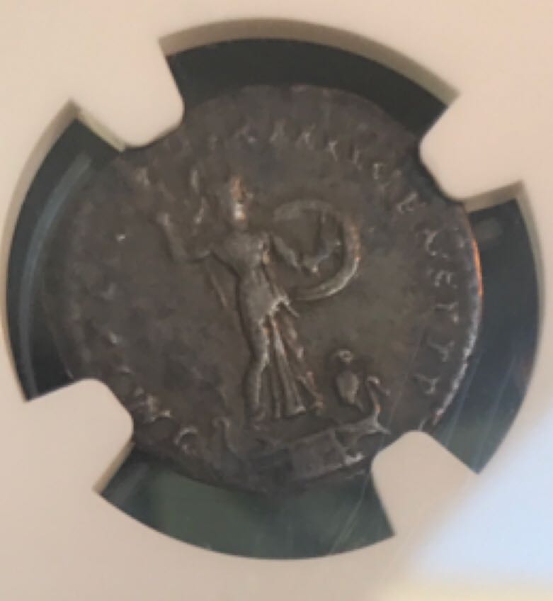 Domitian Denarius (NGC)  coin collectible - Main Image 2