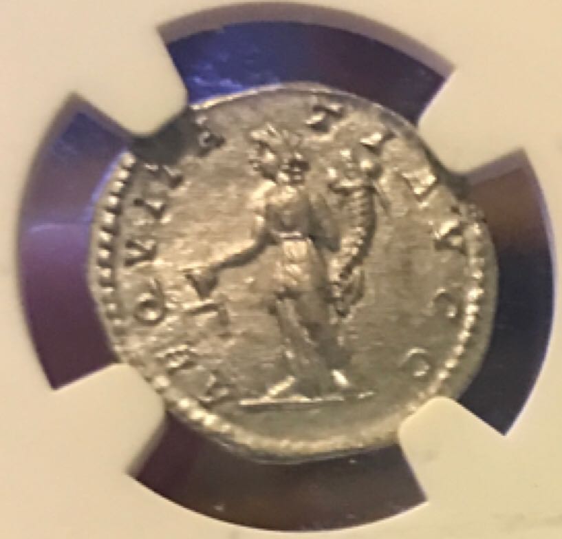 Septimius Severus Denarius (NGC)  coin collectible - Main Image 2