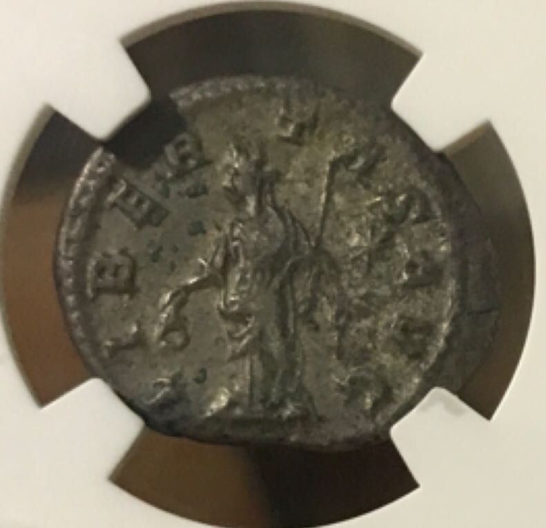 Elagabalus Denarius (NGC)  coin collectible - Main Image 2