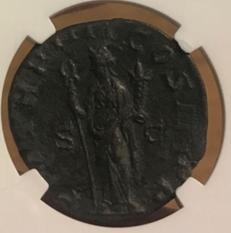 Philip I Sestertius (NGC)  coin collectible - Main Image 2