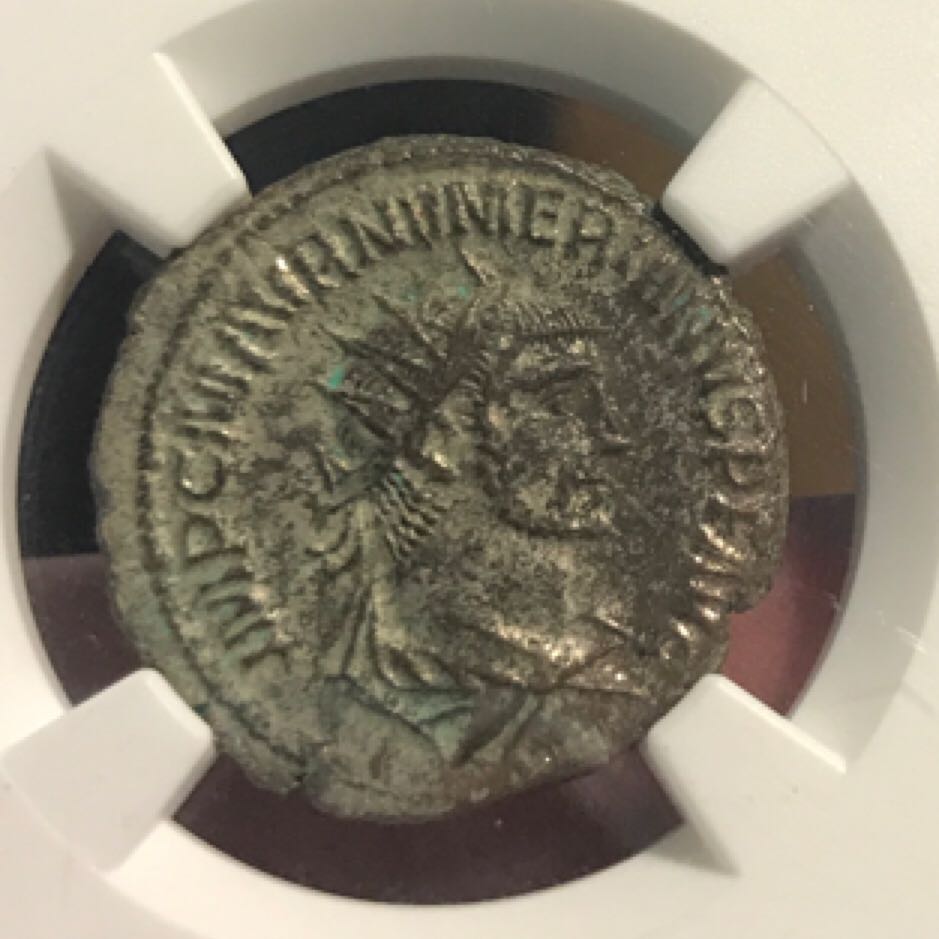 The Christmas Tree 2017 £5 - Brilliant Uncirculated