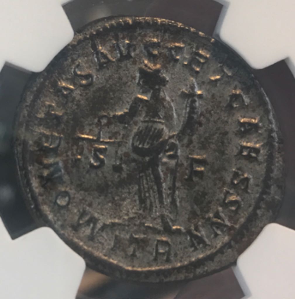 Diocletian Follis (NGC)  coin collectible - Main Image 2