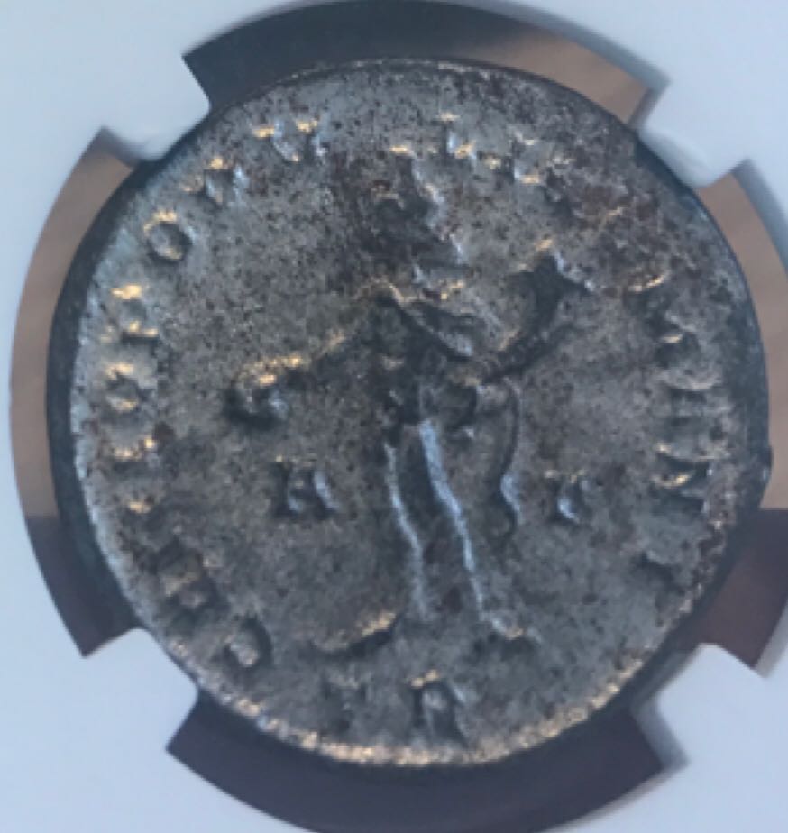 Constantius I (as Caesar) Follis (NGC)  coin collectible - Main Image 2