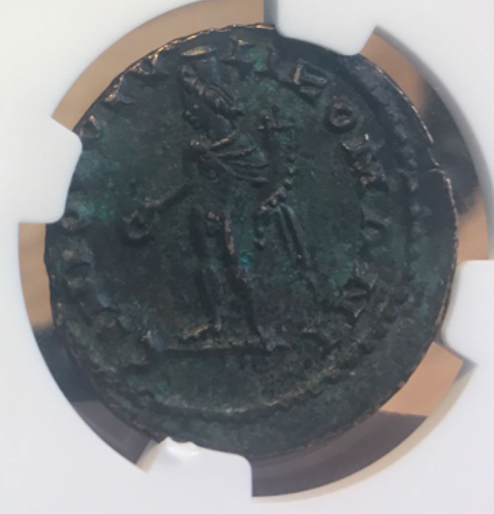 Constantius I (as Caesar) Follis (NGC) (2)  coin collectible - Main Image 2